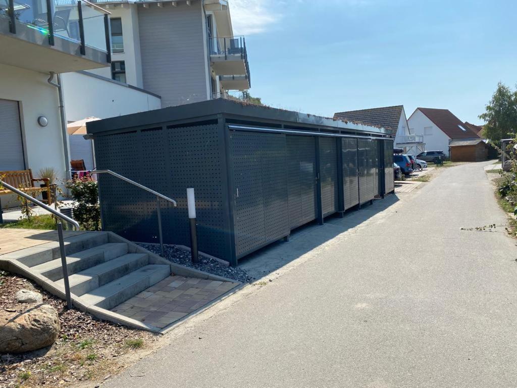Ostseeherz غلوفي المظهر الخارجي الصورة