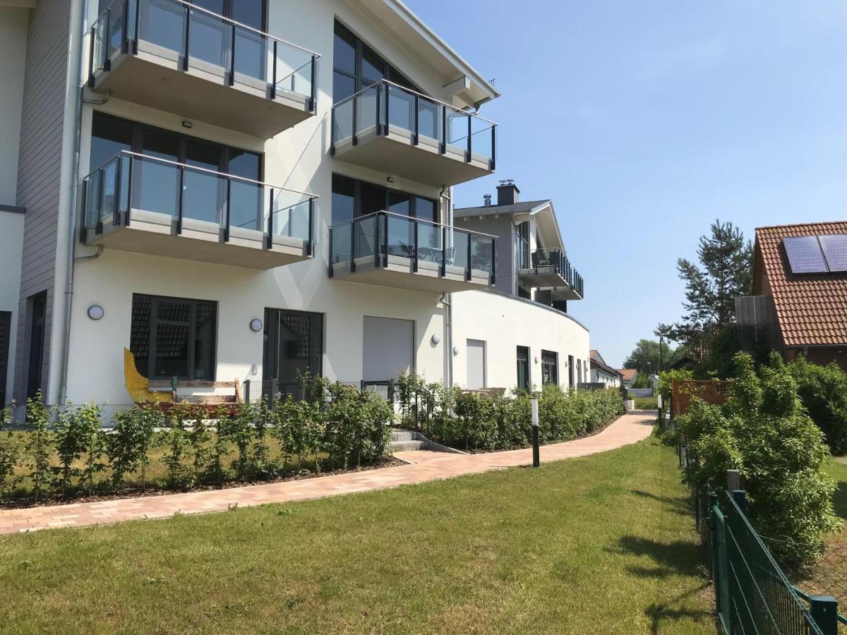 Ostseeherz غلوفي المظهر الخارجي الصورة