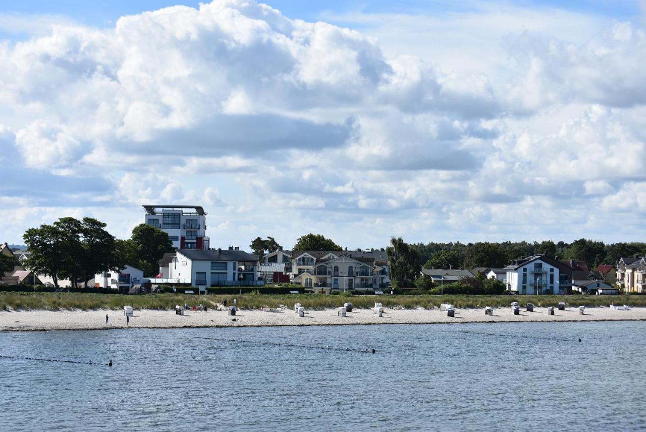 Ostseeherz غلوفي المظهر الخارجي الصورة