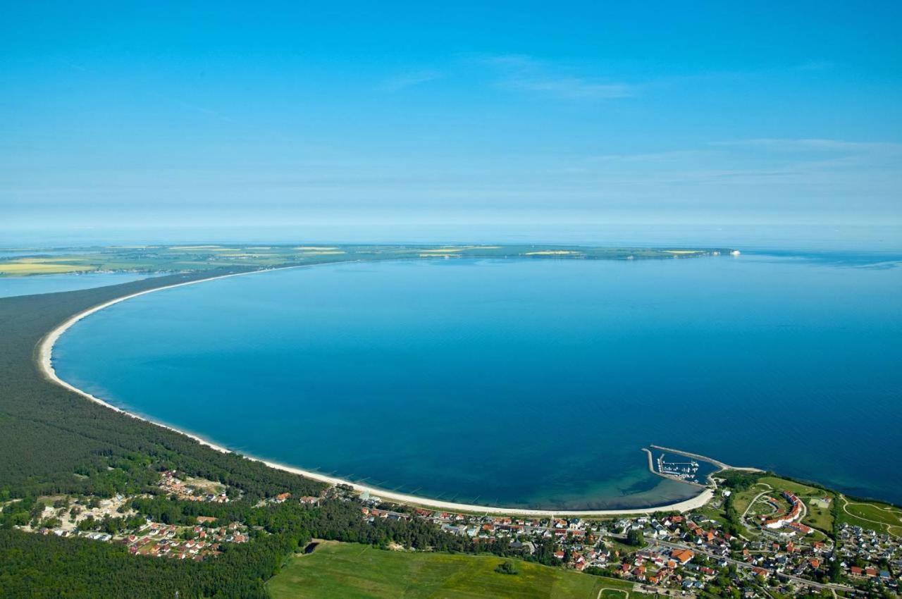 Ostseeherz غلوفي المظهر الخارجي الصورة